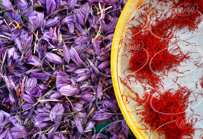 قیمت زعفران خراسان جنوبی ارگانیک برای صادرات
