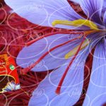 قیمت پودر زعفران قائنات در فروشگاه معتبر اینترنتی