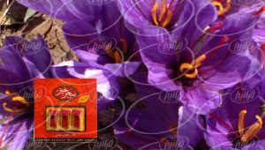 خرید اسپری زعفران سحرخیز صادراتی با بسته بندی زیبا