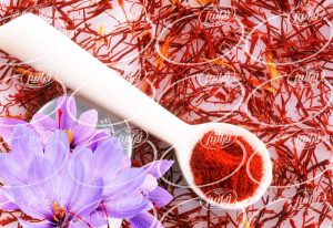 فروش پودر زعفران بسته بندی شده 5 گرمی